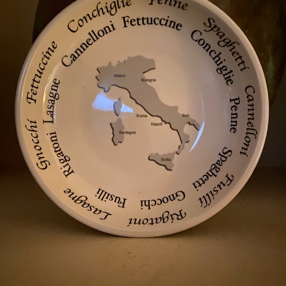 Pasta Dish/ Heavy/ New Condition